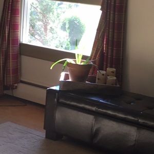 Meet your Posher, Elaine